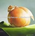 Spicy 6cm  China Yellow Onion