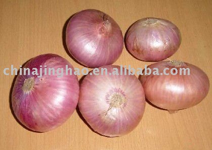Hot Sales - Chinese Fresh Yellow and Red Onion