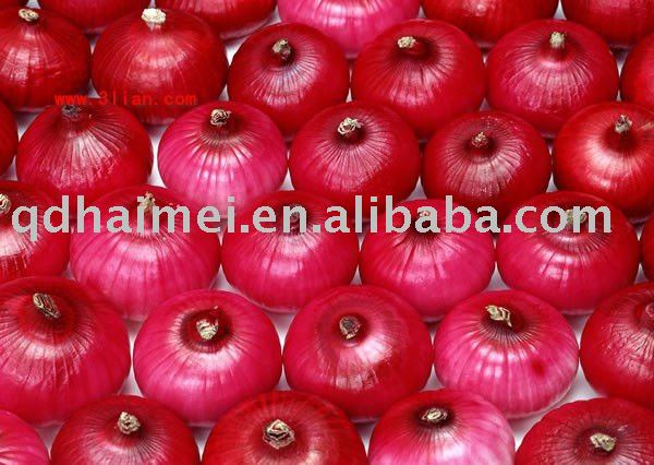 2010 chinese fresh organic red onions