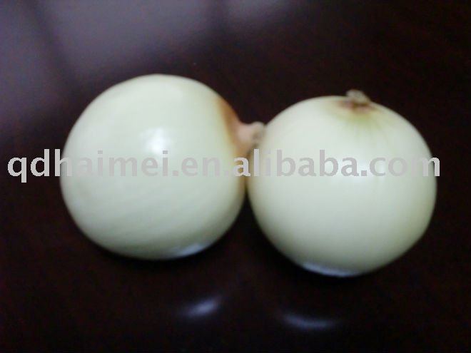 fresh white onion
