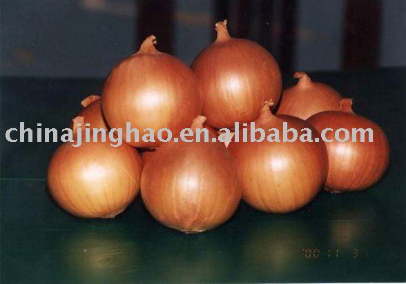 Hot Sales Chinese Fresh Red/Yellow Onion (Big/Small Size)