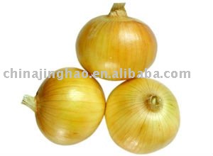 High Quality and Low Price - Chinese Fresh Red/Yellow Onion (Big/Small Size)
