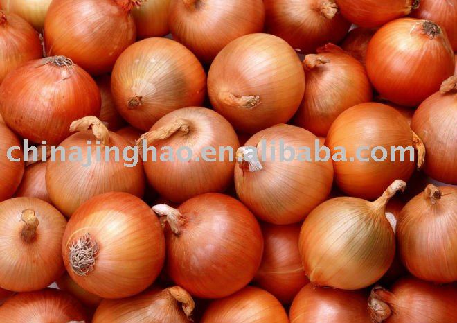 Good Quality and Low Price - Chinese Fresh Red/Yellow Onion (Big/Small Size)