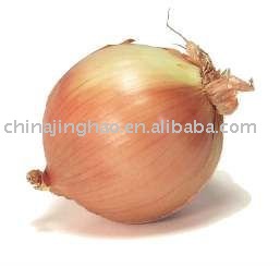 Chinese Fresh Red/Yellow Onion (Big/Small Size)
