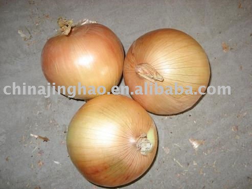 Small Size - Chinese Fresh Red/Yellow Onion