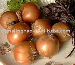 Low Price Products - Chinese Fresh Red/Yellow Onion (Big/Small Size)