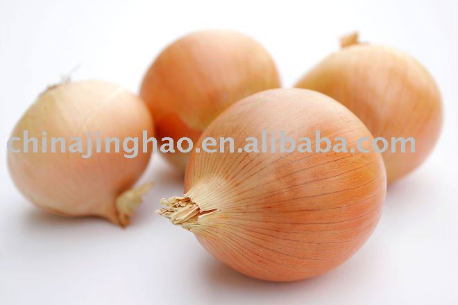High Quqlity with Good Price - Chinese Fresh Red/Yellow Onion (Big/Small Size)