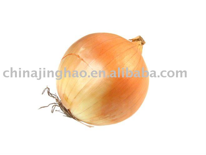 Good Price - Chinese Fresh Red/Yellow Onion (Big/Small Size)