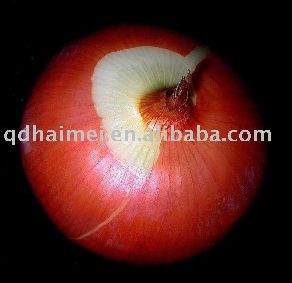 2010 Chinese Fresh Red Organic Onions