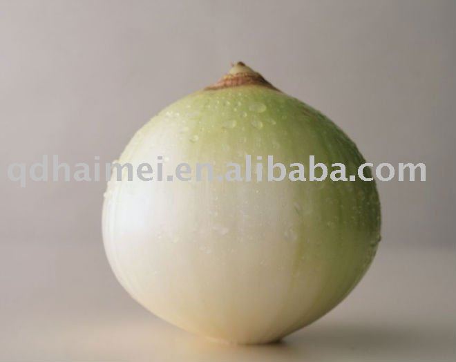 2011 Chinese Fresh White Onions