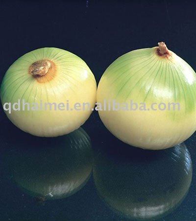 2010 Chinese Fresh Organic White Onions