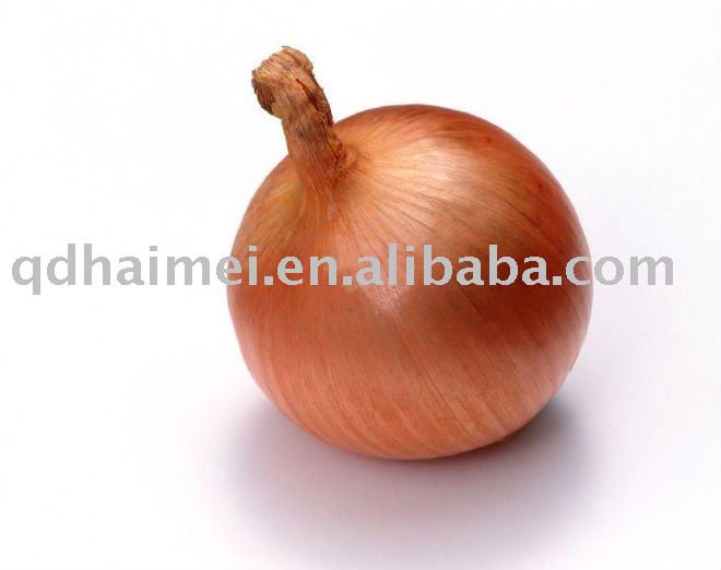 Chinese  Organic   Yellow   Onion s