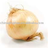 Chinese Fresh  Onion   10kg /mesh  bag  in carton
