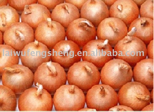 fresh yellow onion