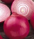 Spicy Red Onion Top Quality