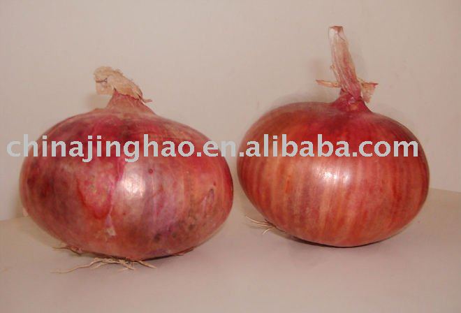 Low Price - 2010 New Crop Good Quality Hot Taste Chinese Fresh Red   Yellow Onion