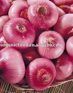 Peeled Fresh  red onion