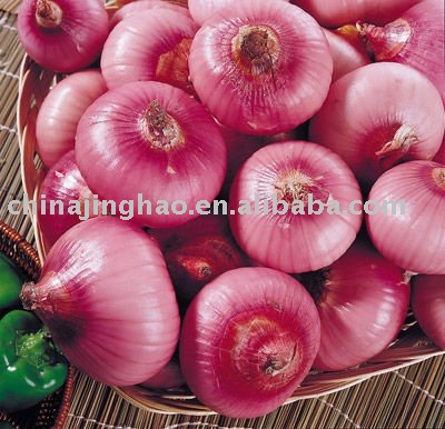 China Fresh Yellow and Red Onion 10kg/mesh bag