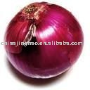  Top   Quality  Chinese Red Onion