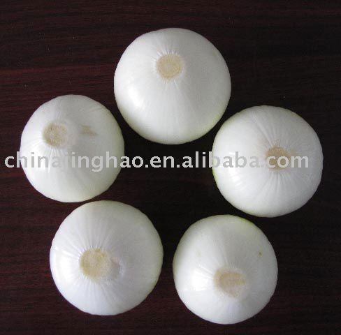 2010 new crop Best Selling and Healthy Vegetable - China Fresh Red, Yellow and White Onion