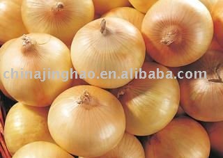 Heathy Vegetable - China Fresh Yellow Onion (250g, 7cm)