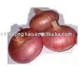  Spicy  Fresh Red  Onion 