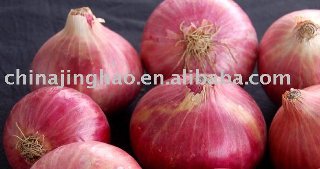 Shouguang  Organic   Yellow   Onion 