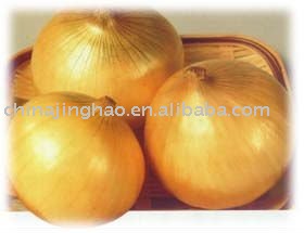 Shouguang  Organic   Red   Onion 