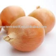 China Fresh Yellow Onion in Mesh Bag Package, New Crop