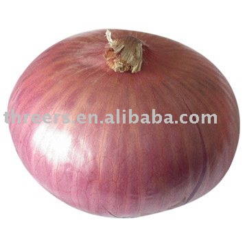 onion