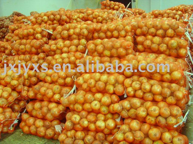 onion in mesh bag packing