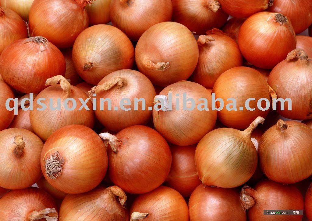 Yellow   whole   Onion 