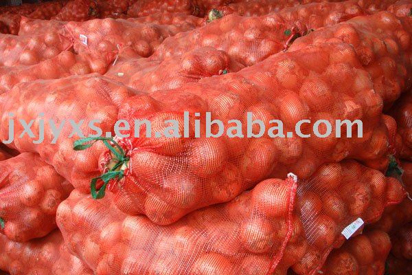 Onion With 20kg Mesh Bag  Package
