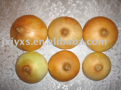 Yellow Onion Supplier In China