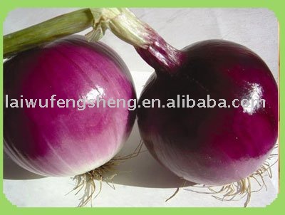 chinese fresh onion