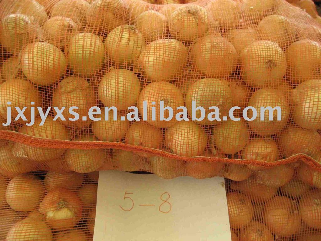Fresh Yellow  Onion in Mesh bag