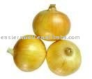 New Crop Chinese Yellow Fresh Onion