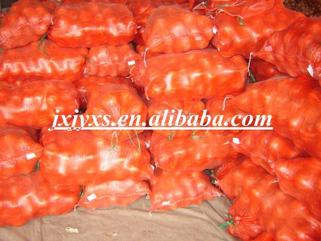 10kg Mesh Bag  Red Onion