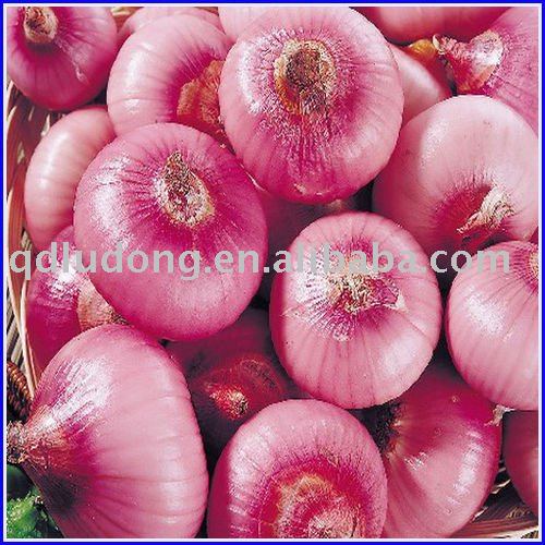  Red   skin   onion 