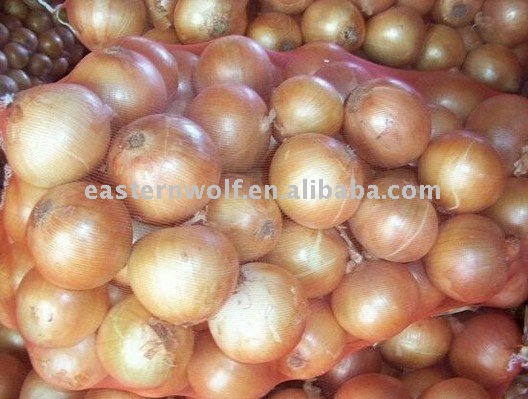 China Yellow Onion China Origin