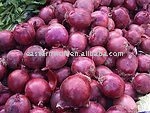 Chinese Small Size Fresh Red Onion