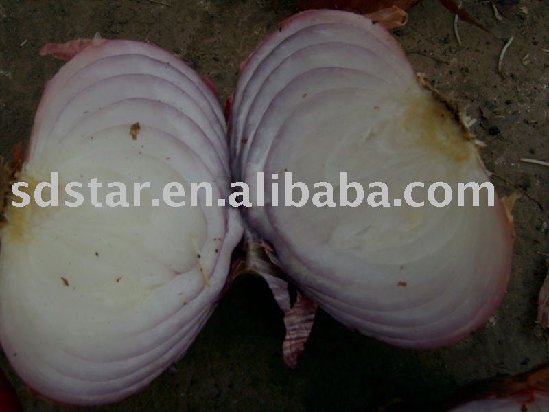 2010  chinese   fresh   red   onion 