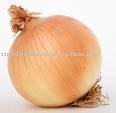 onions