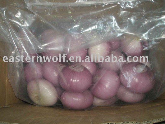 New Crop Chinese Red Fresh Onion,Good Packing