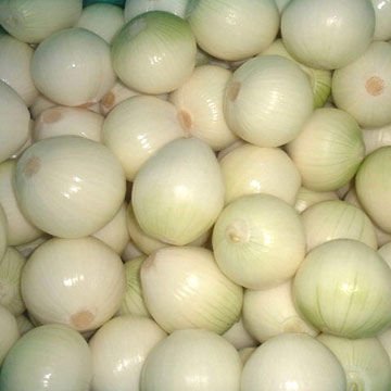 Peeled Onion ,Non Peeled Onion,Banglore Rose Onion,Bulk Podisu Onion,Satikuwar Onion,Fresh White Oni