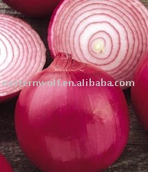 Fresh Chinese  onion  in  10kg  mesh  bag  package