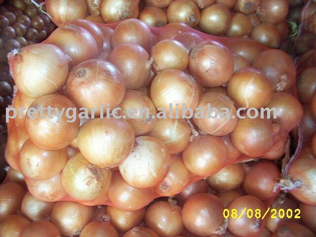 China Yellow Onion