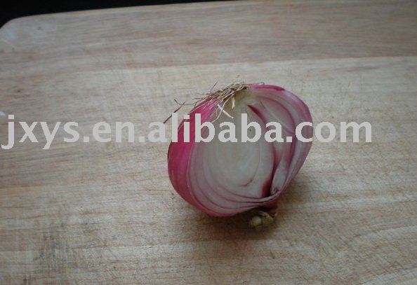 onion