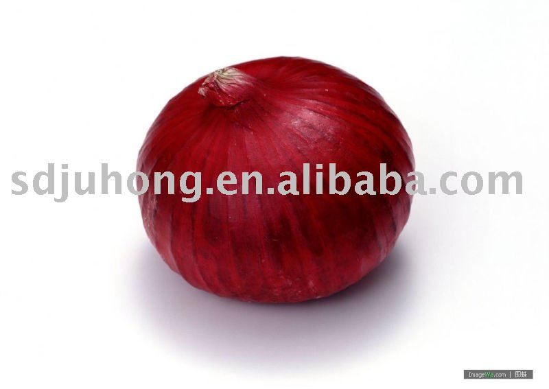 2011 fresh red  big onion