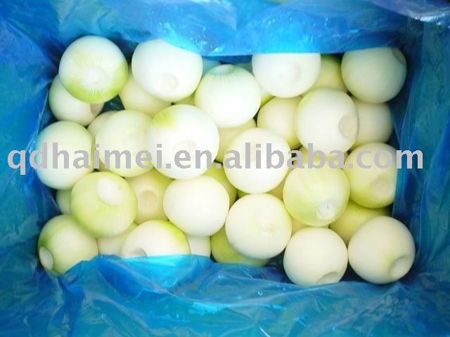 White Fresh Onion